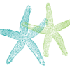 two-starfish-friends